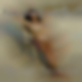 Sexual hookups Martinsburg